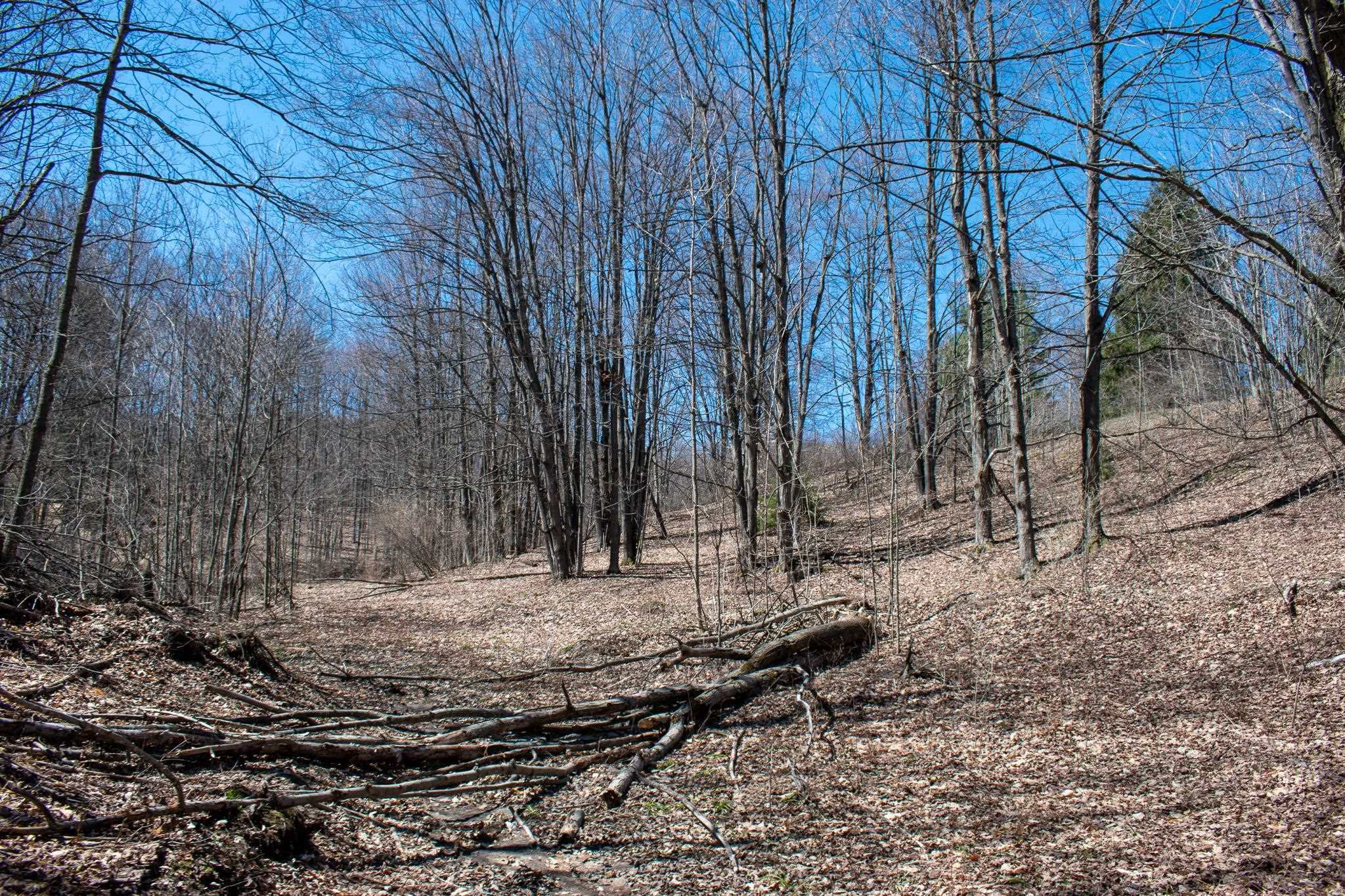 0 East Smiseth Road Suttons Bay, MI 49682 - Photo 35 of 67