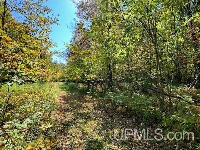 T-wi Maple Avenue Goodman, WI 54125 - Photo 2 of 7