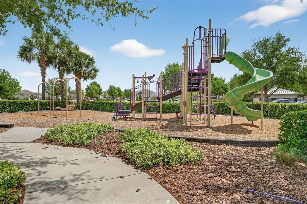 6312 Heirloom Place Apollo Beach, FL 33572 - Photo 84 of 97