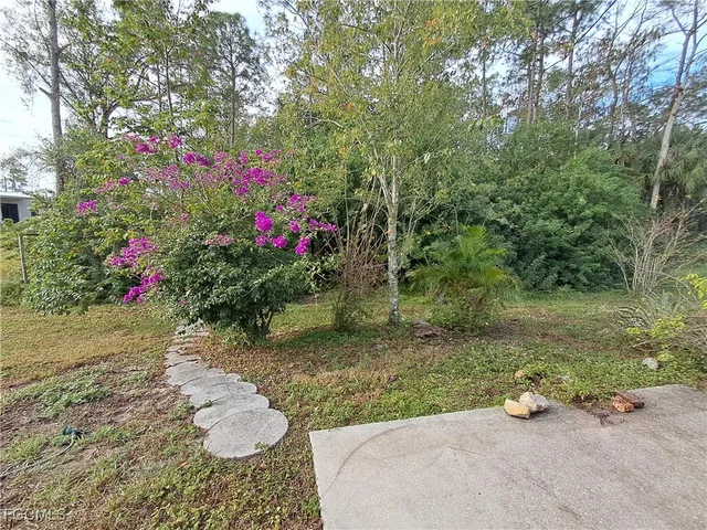 a view of a bench in a yard with potted plants