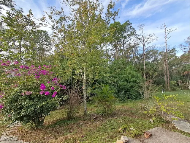 a view of a yard with large trees