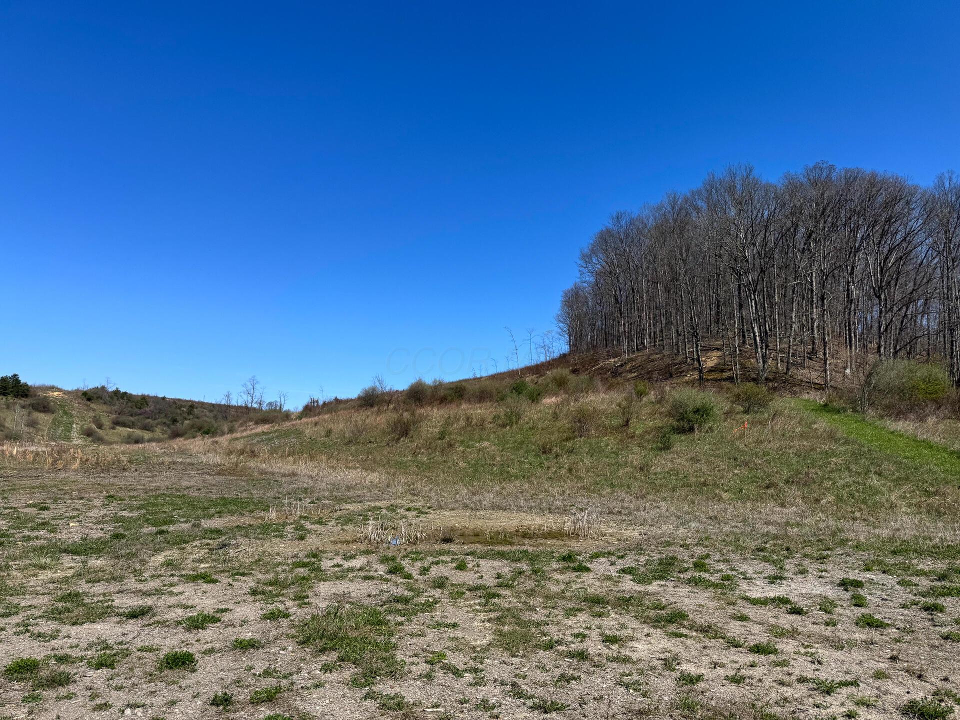 0 Sulphur Spring Road Southeast, Unit 105 ACRE SULPHUR SPRINGS) New Lexington, OH 43764 - Photo 10 of 30 CT-10