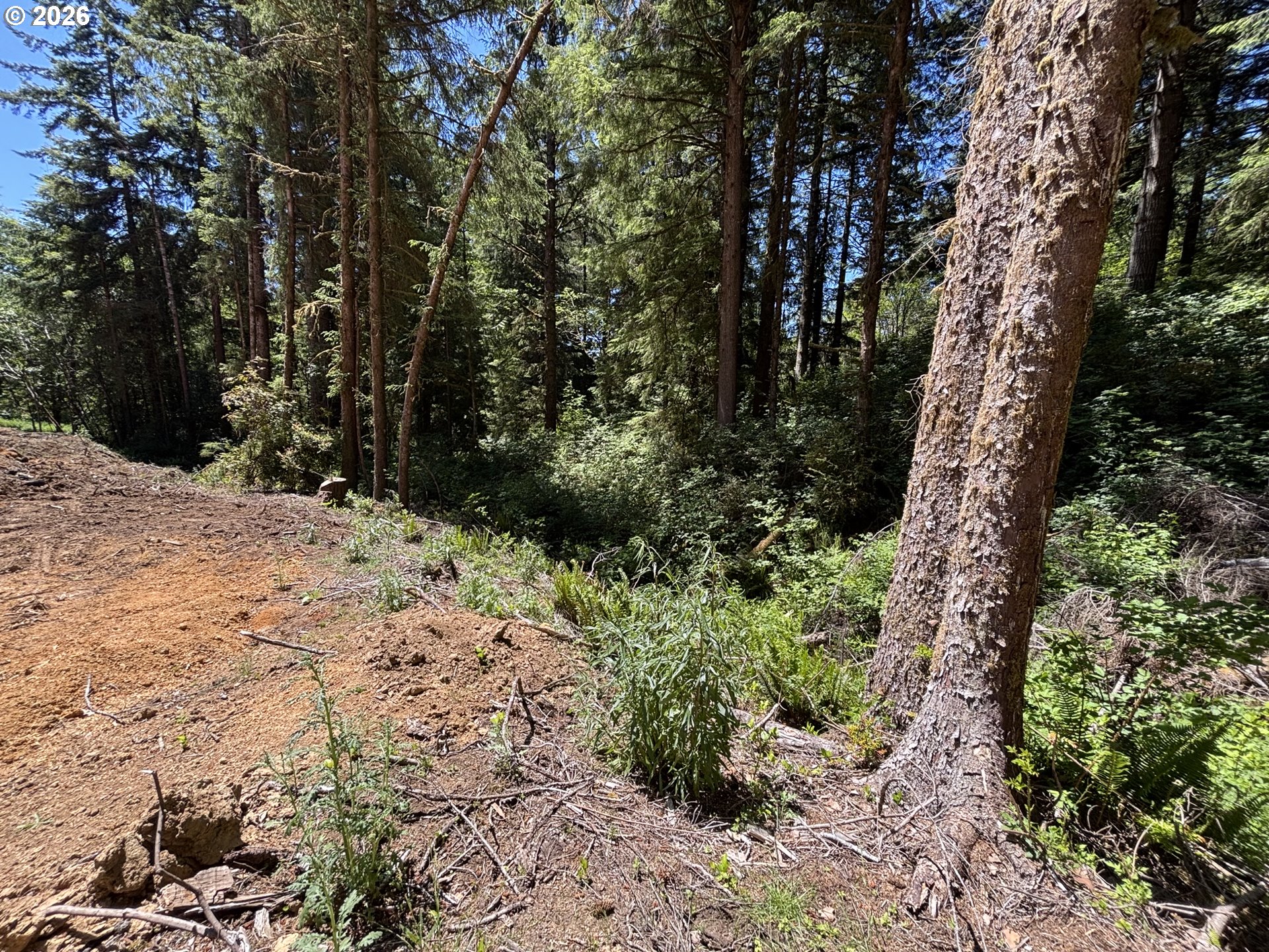 83672 Kiechle Arm Road Florence, OR 97439 - Photo 7 of 14