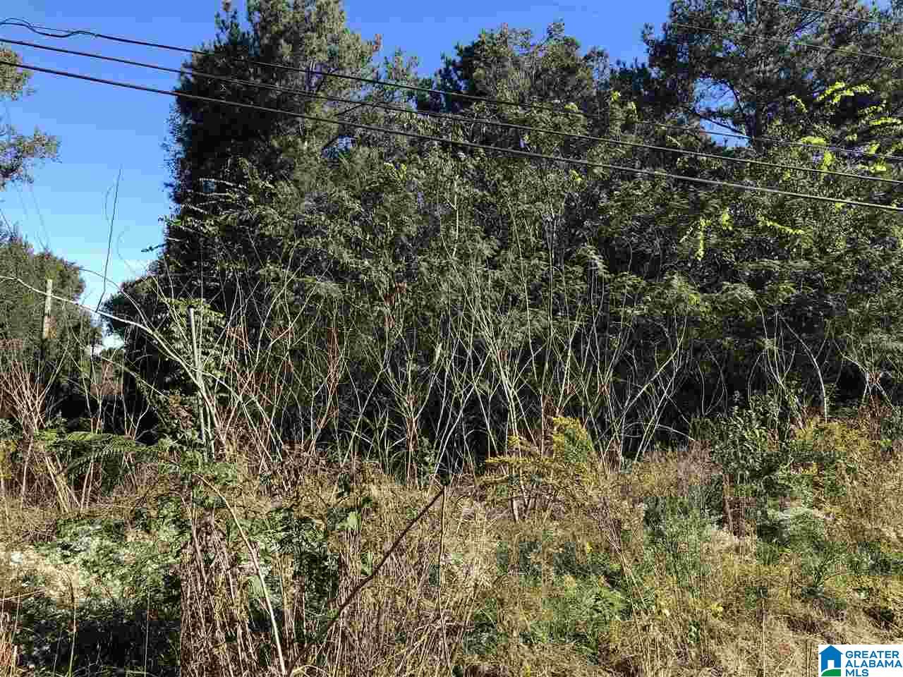 6111 Johns Road, Unit 24 000 Bessemer, AL 35023 - Photo 3 of 5