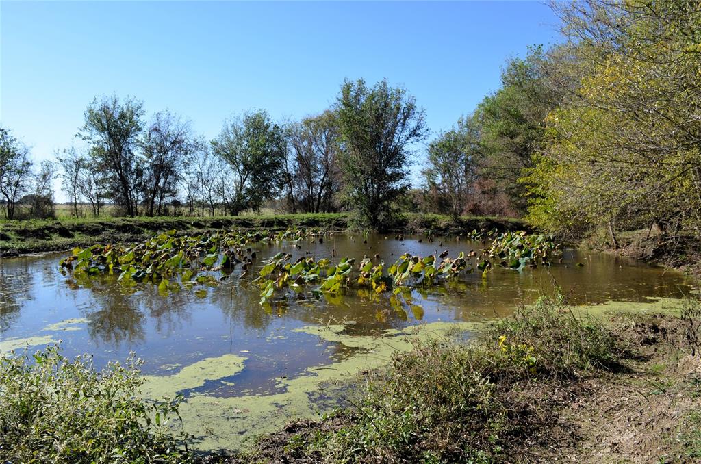 2 Fm 3080 Mabank, TX 75147 - Photo 13 of 15 a view of a lake with trees