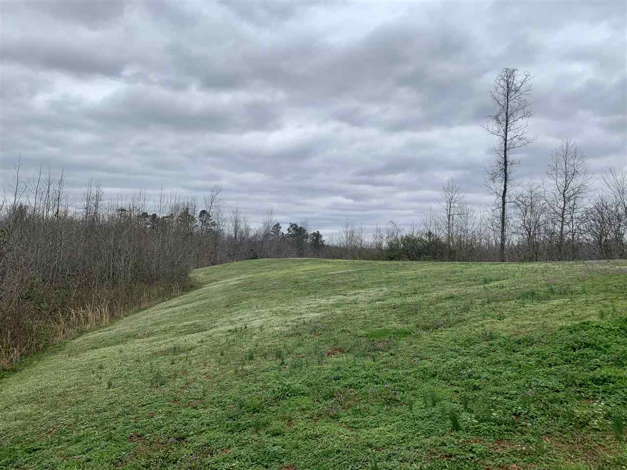 560 Terry Hair Road Adamsville, TN 38310 - Photo 17 of 24 Gallery Image 17