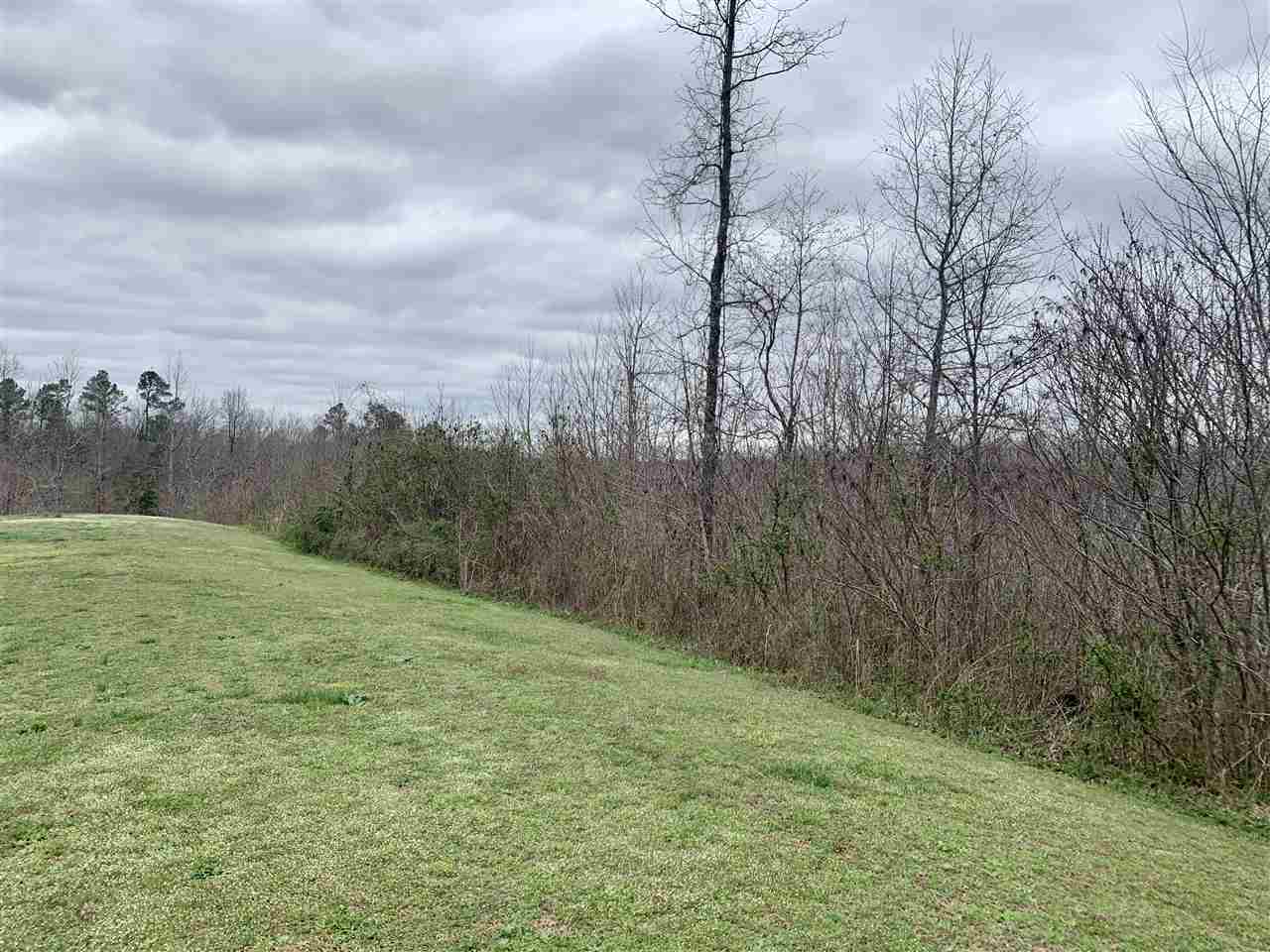 560 Terry Hair Road Adamsville, TN 38310 - Photo 20 of 24 Gallery Image 20
