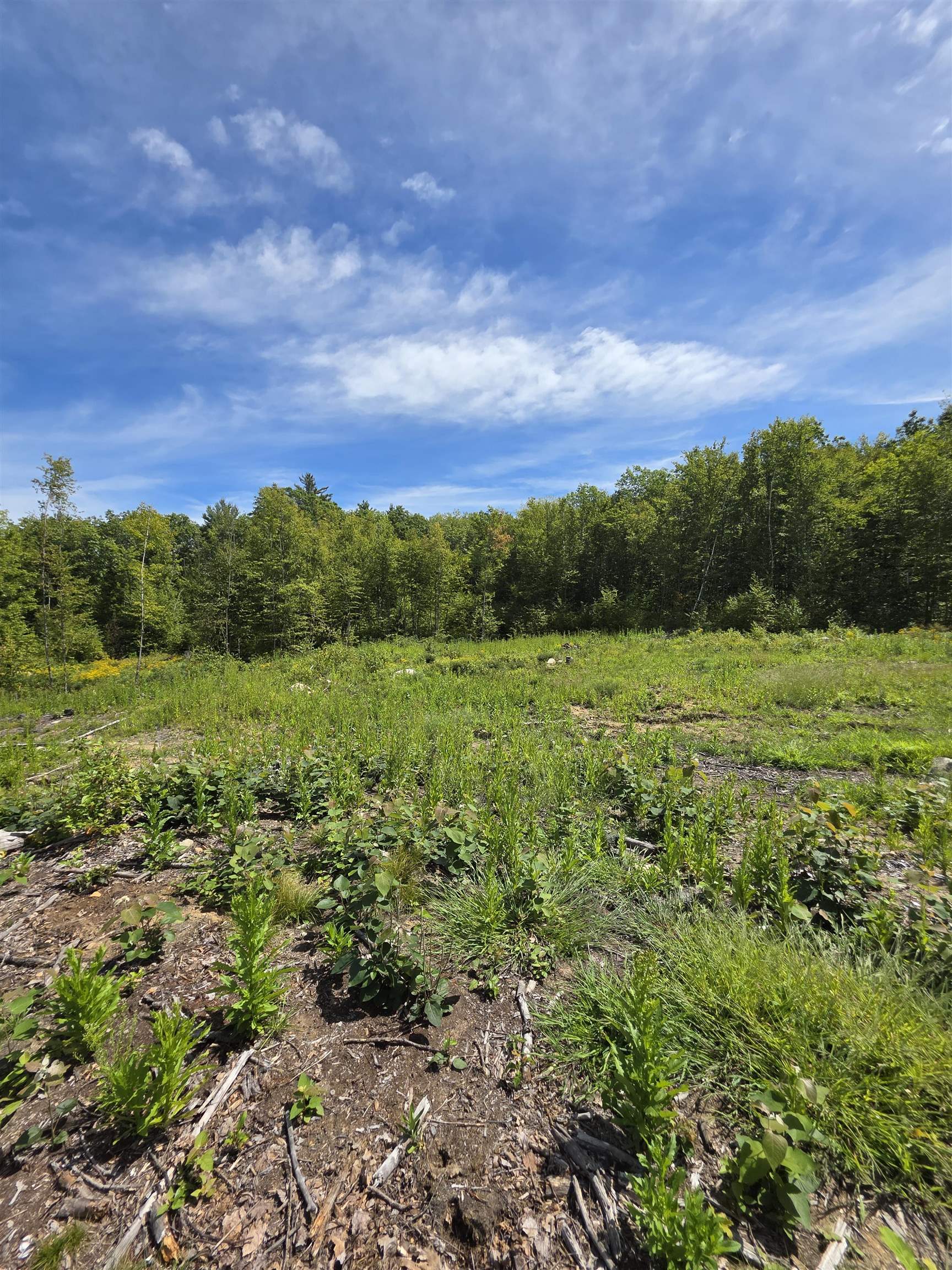 15 Hot Hole Pond Road Concord, NH 03301 - Photo 12 of 18