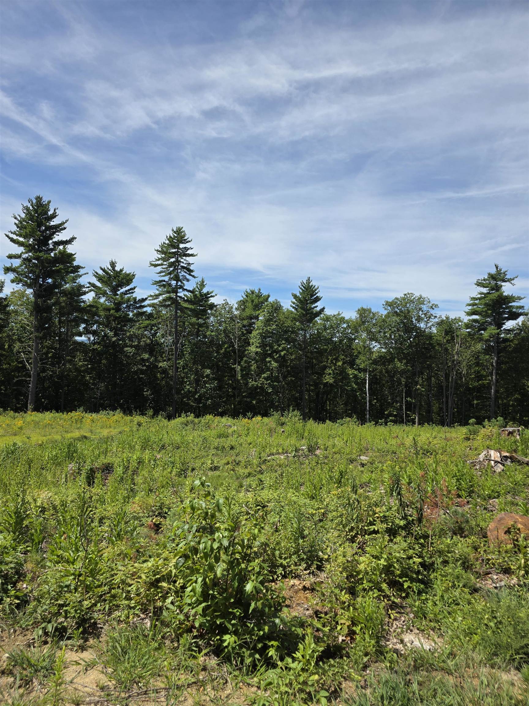 15 Hot Hole Pond Road Concord, NH 03301 - Photo 6 of 18