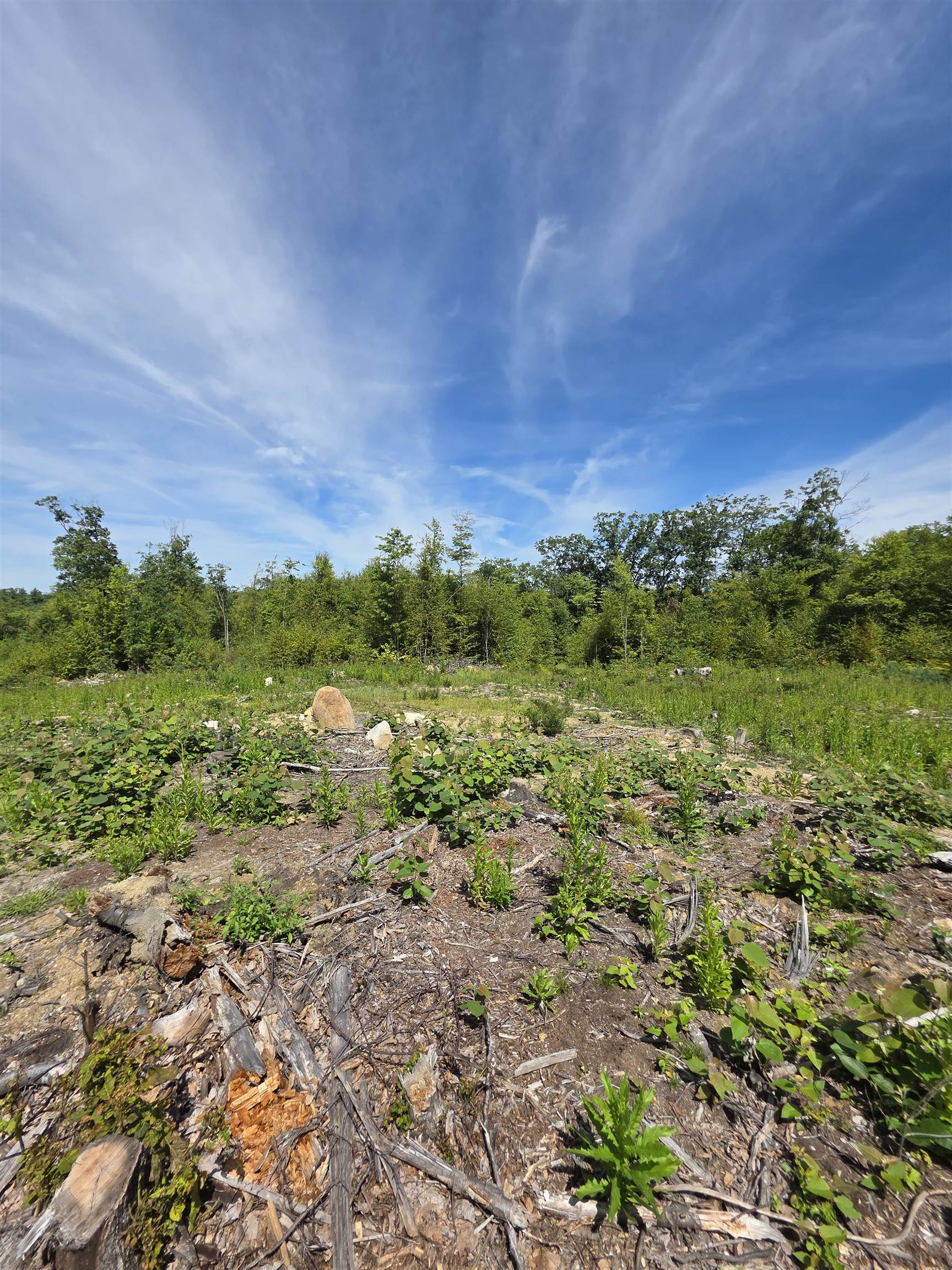 15 Hot Hole Pond Road Concord, NH 03301 - Photo 10 of 18