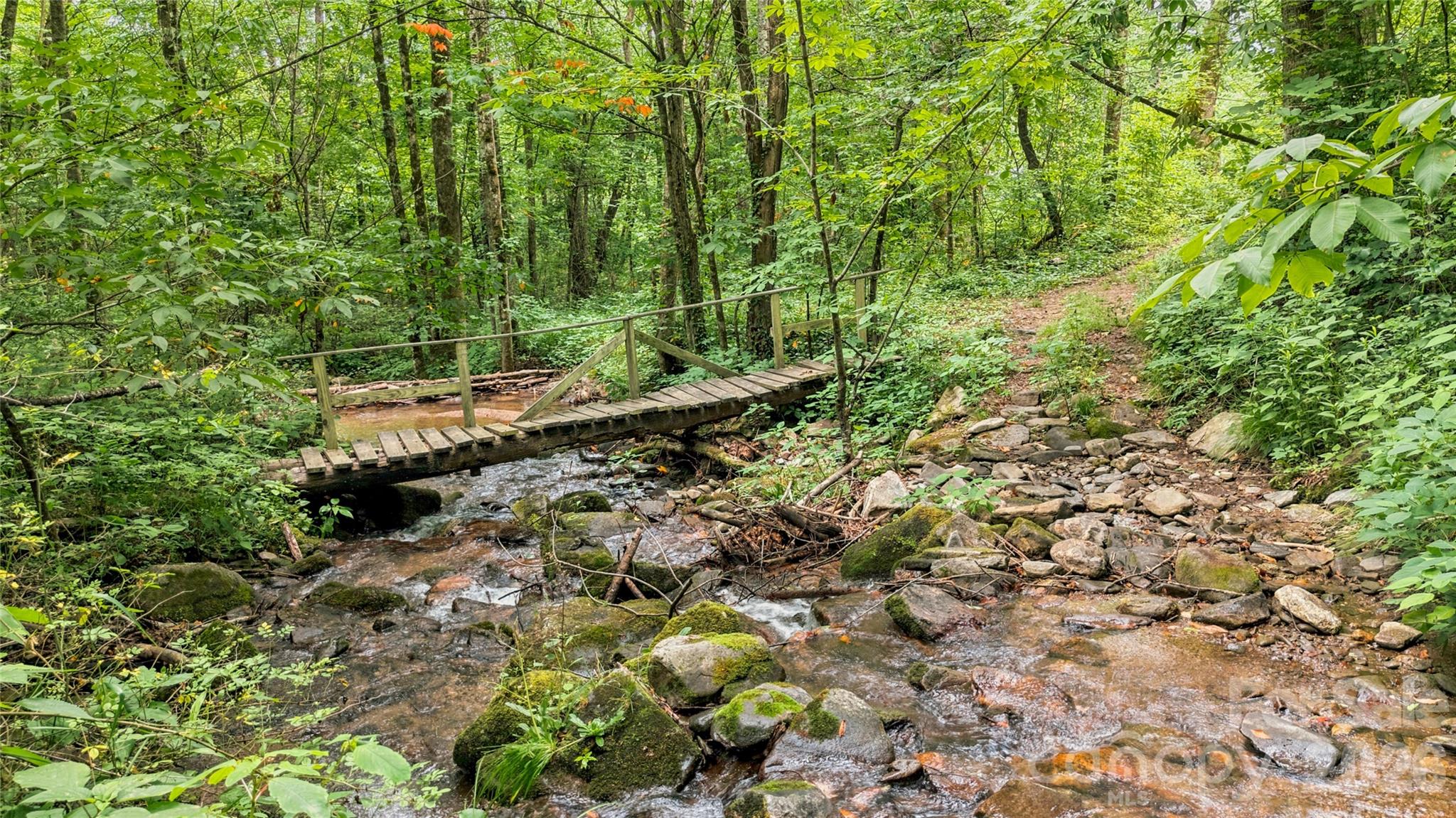 0 Fisher Creek Road Sylva, NC 28779 - Photo 10 of 18