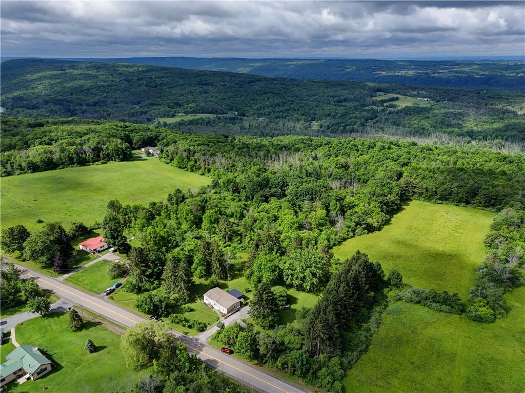 5420 Middle Road North Canadice, NY 14466 - Photo 11 of 47