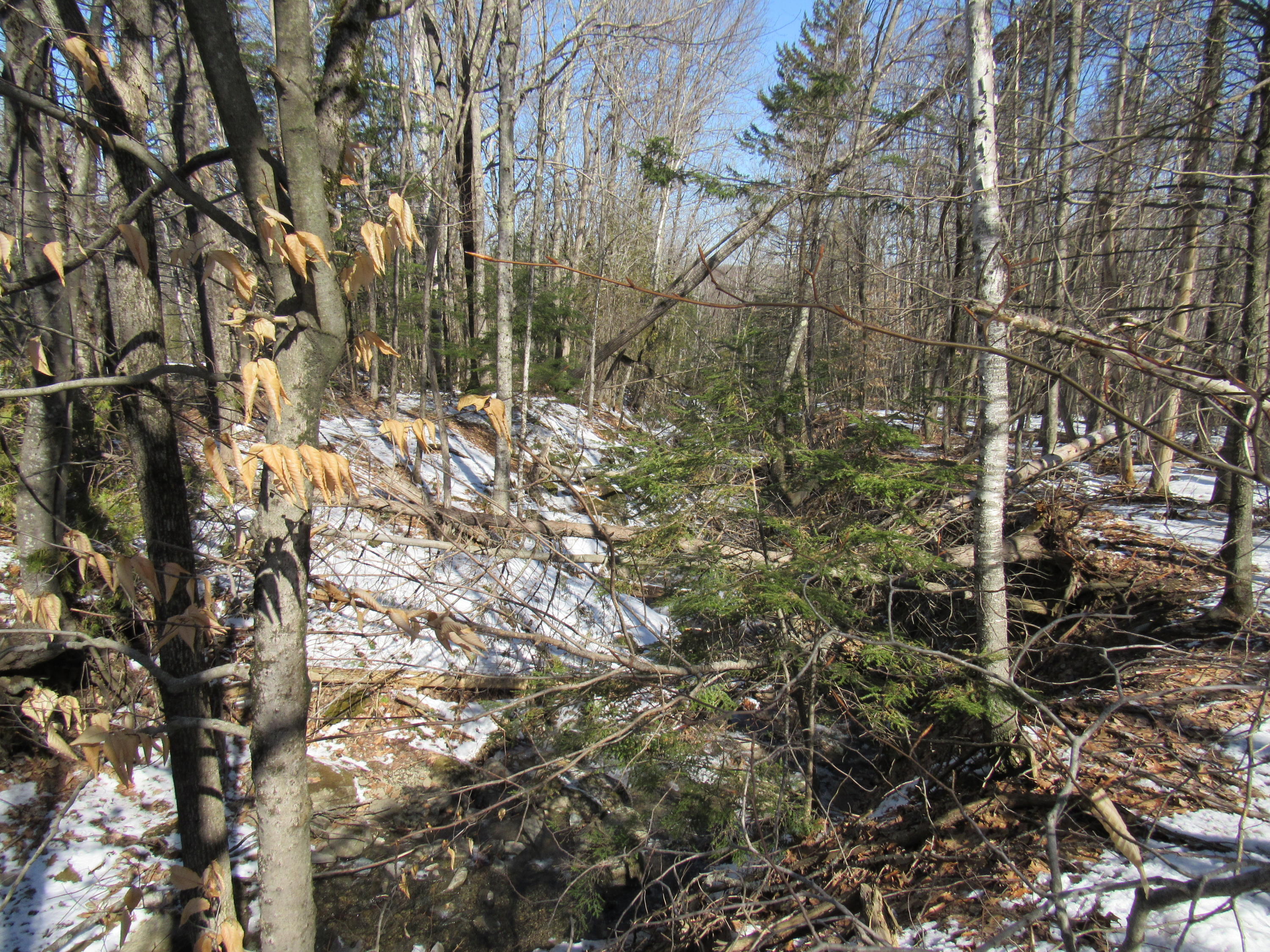 Lot 5 Kennebec Road Dixmont, ME 04932 - Photo 1 of 13 IMG_5252