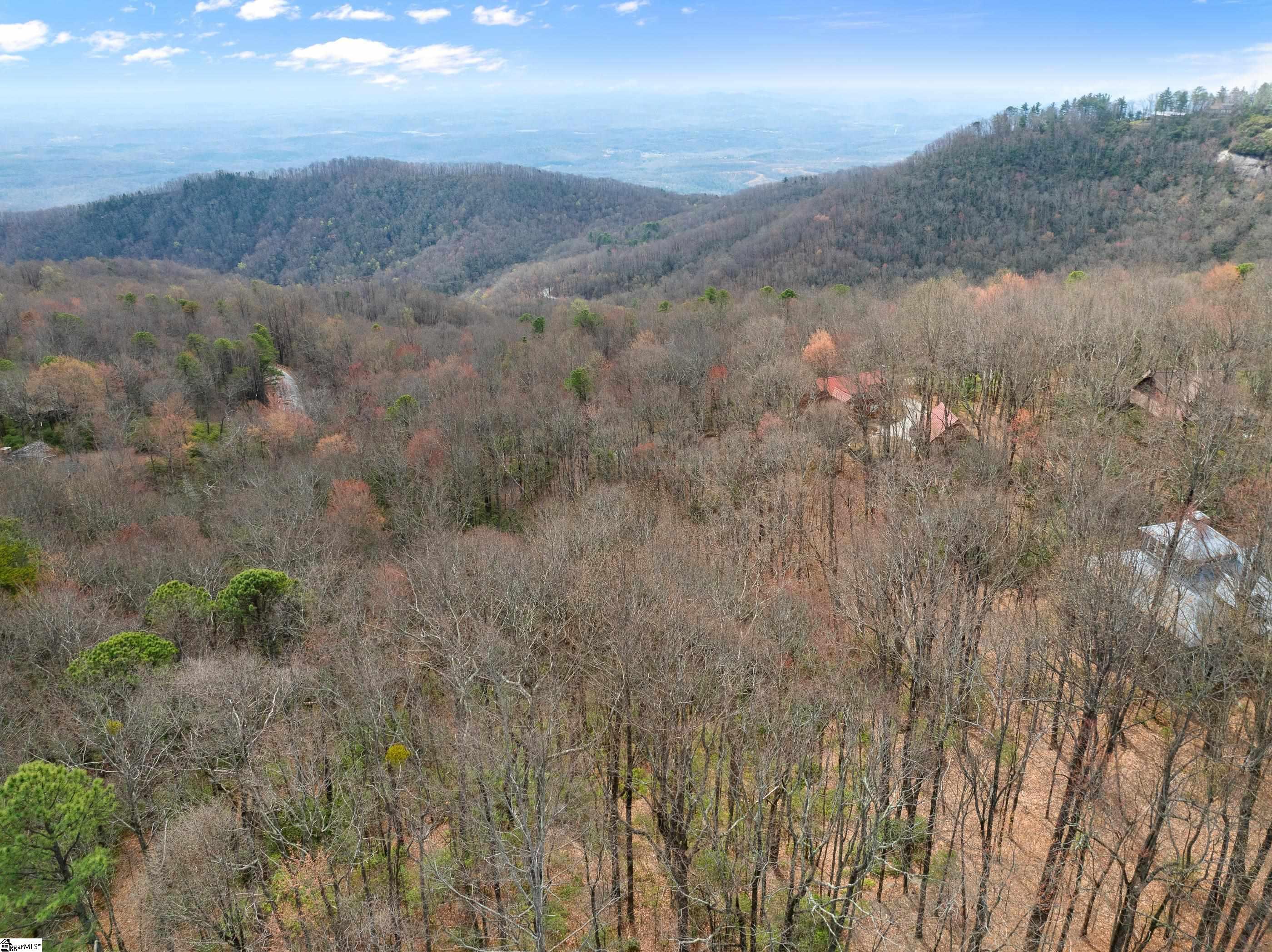 312 Cliff Ridge Drive, Unit LOT 172 Cleveland, SC 29635 - Photo 13 of 30