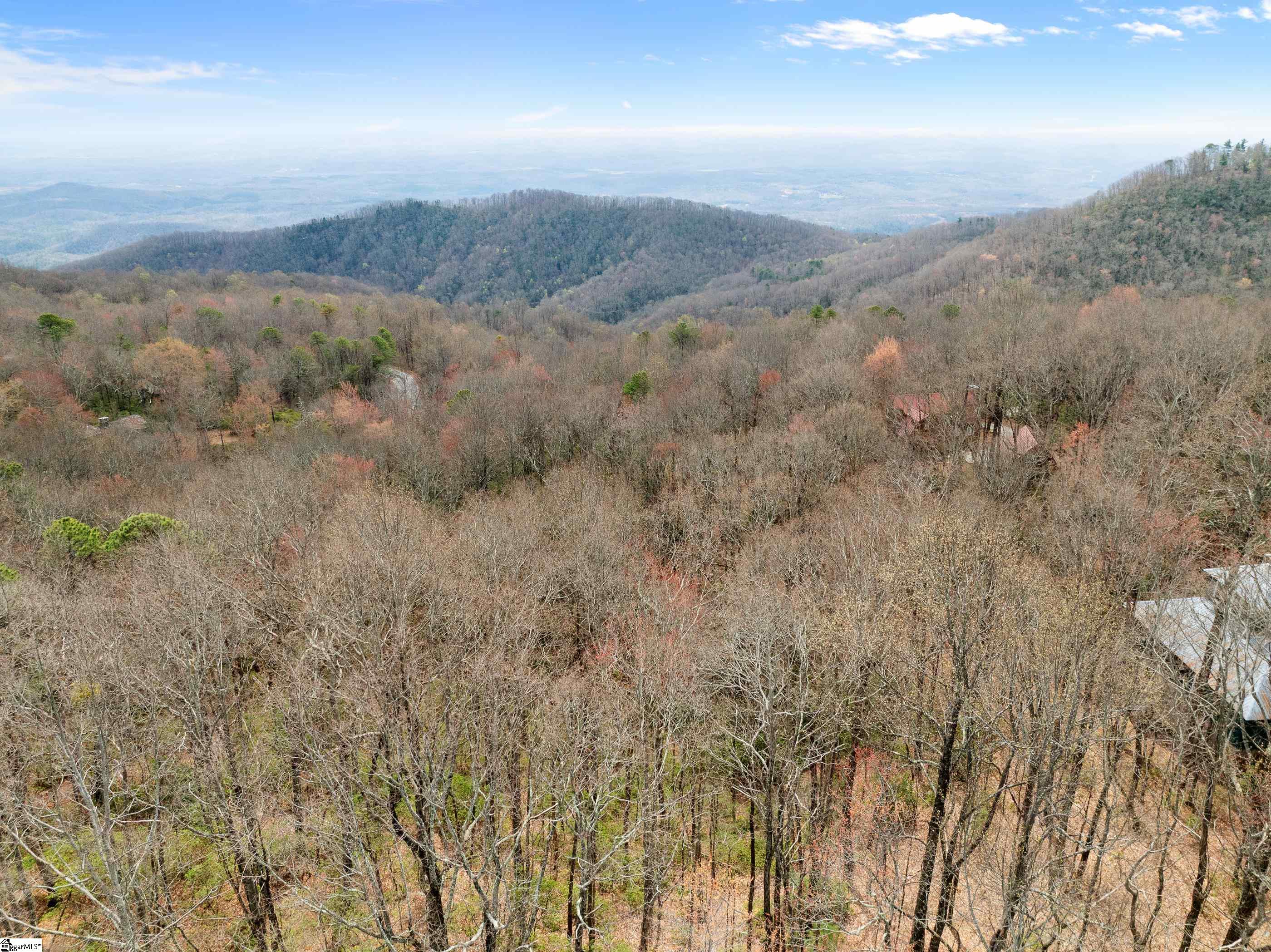 312 Cliff Ridge Drive, Unit LOT 172 Cleveland, SC 29635 - Photo 15 of 30