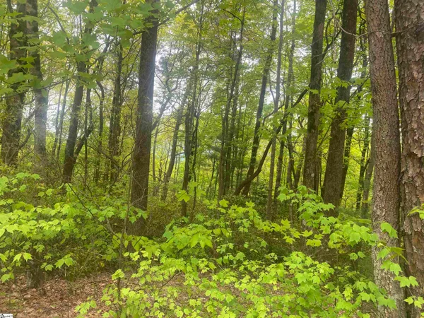 $61,900 | 312 Cliff Ridge Drive, Unit LOT 172, Cleveland, SC 29635