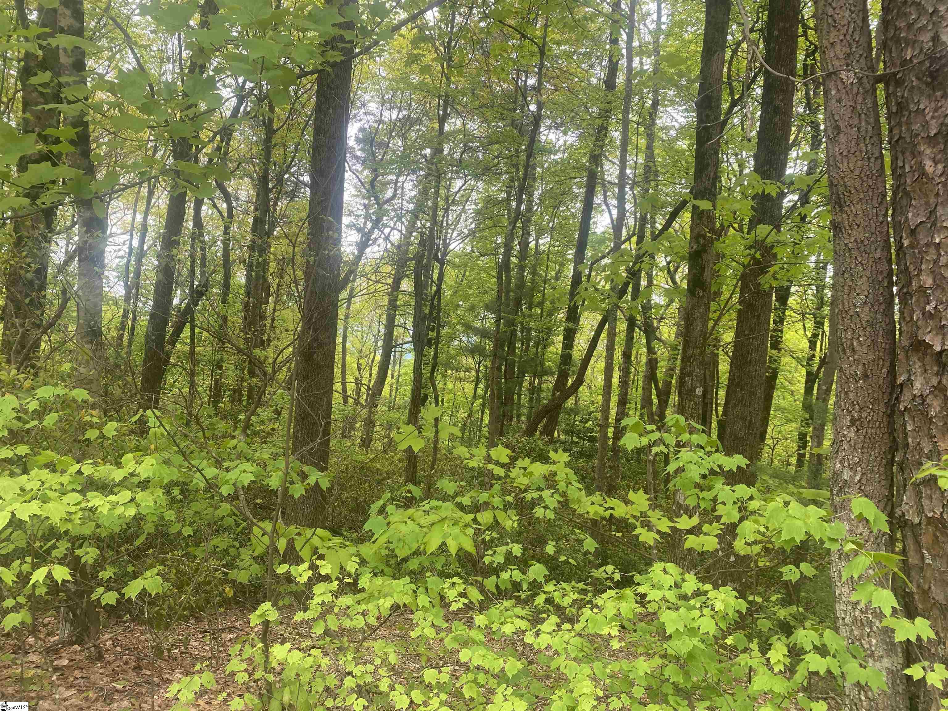 312 Cliff Ridge Drive, Unit LOT 172 Cleveland, SC 29635 - Photo 18 of 30