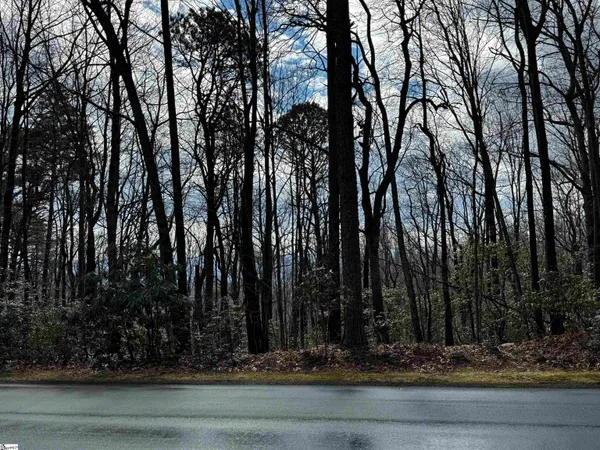 $61,900 | 312 Cliff Ridge Drive, Unit LOT 172, Cleveland, SC 29635