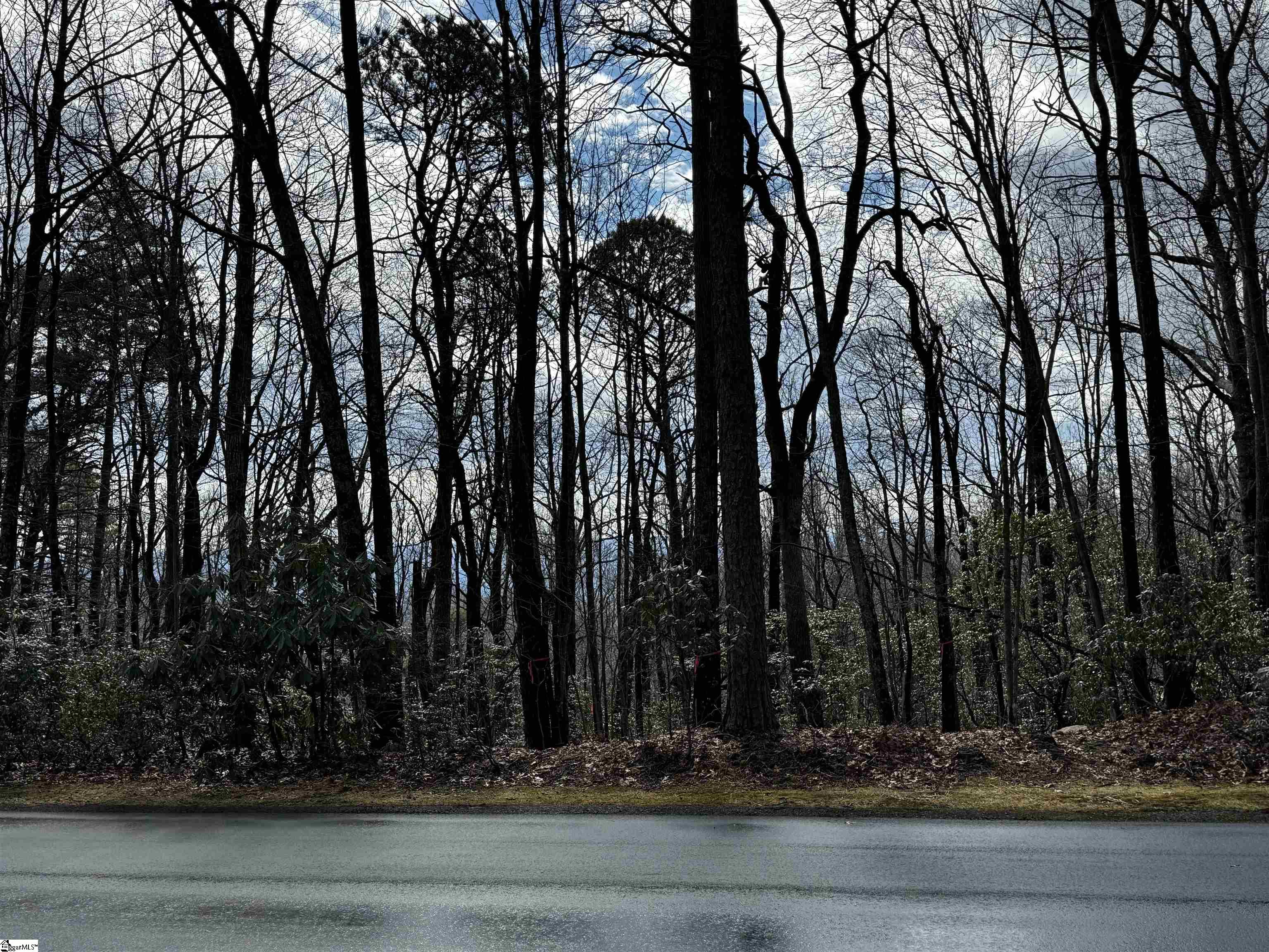 312 Cliff Ridge Drive, Unit LOT 172 Cleveland, SC 29635 - Photo 20 of 30