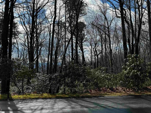 $61,900 | 312 Cliff Ridge Drive, Unit LOT 172, Cleveland, SC 29635