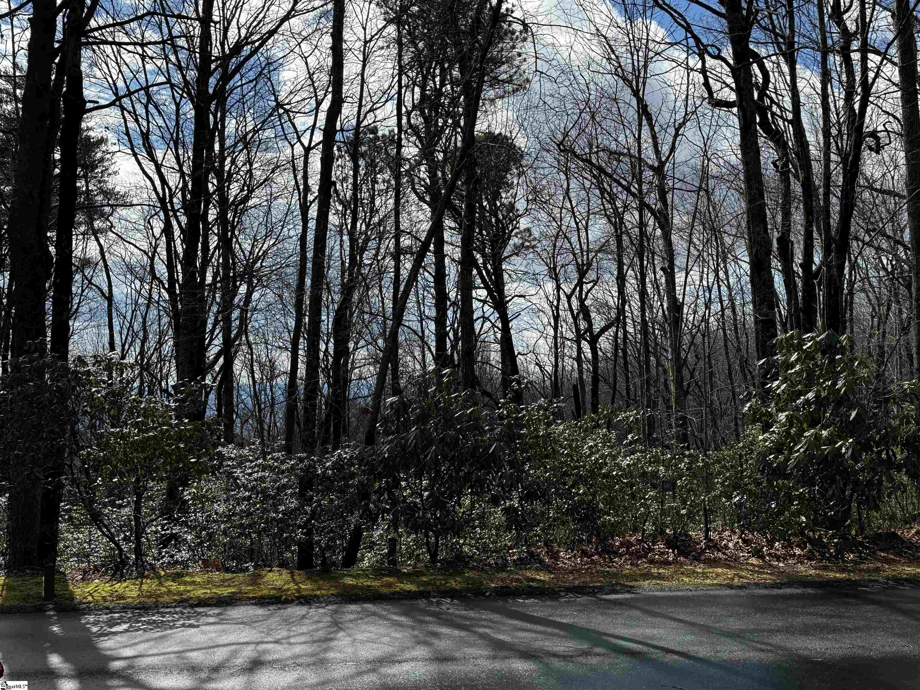 312 Cliff Ridge Drive, Unit LOT 172 Cleveland, SC 29635 - Photo 21 of 30