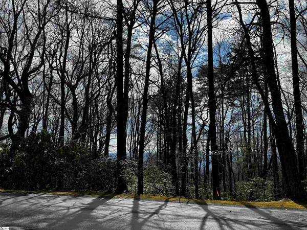 $61,900 | 312 Cliff Ridge Drive, Unit LOT 172, Cleveland, SC 29635