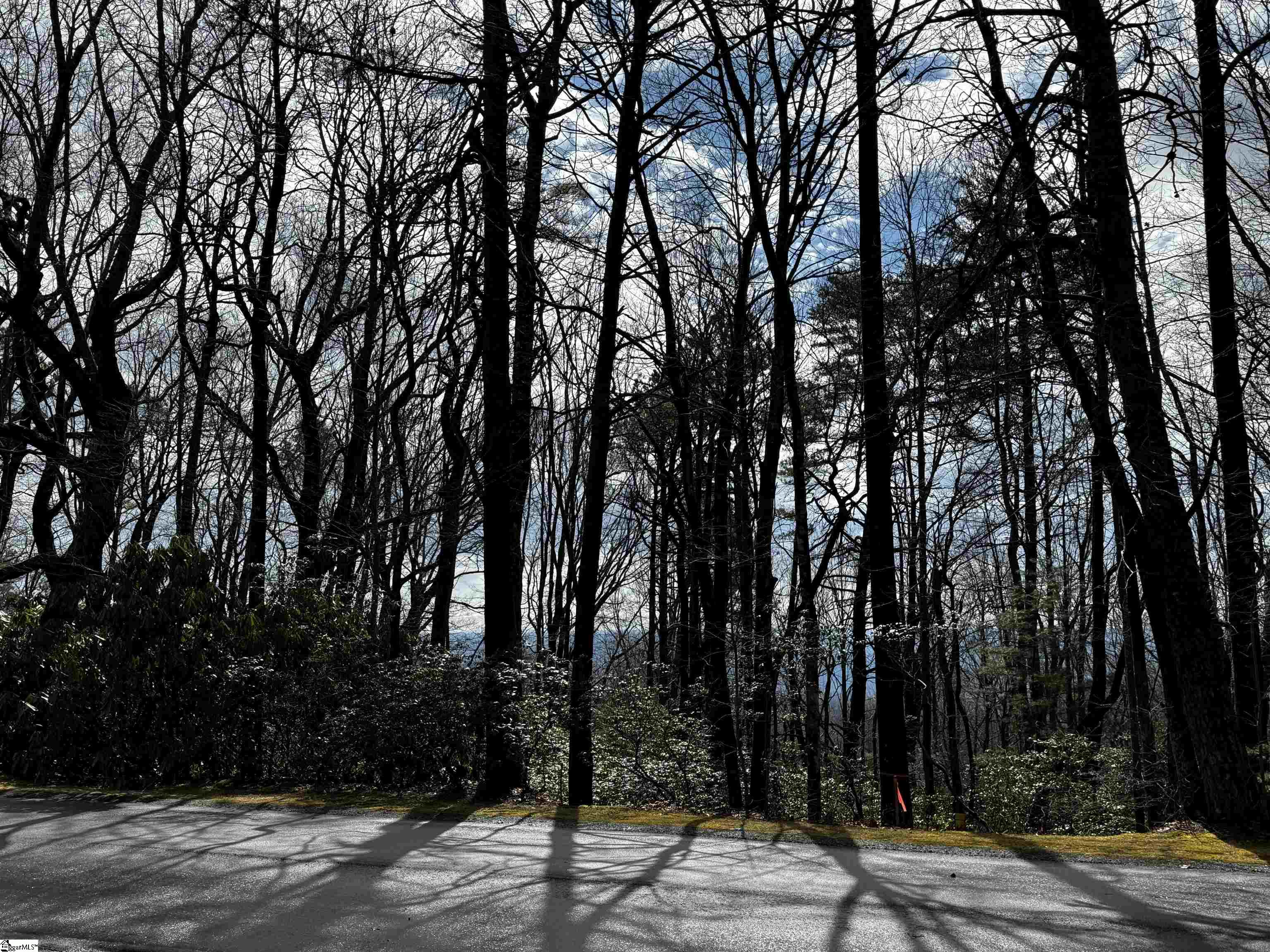 312 Cliff Ridge Drive, Unit LOT 172 Cleveland, SC 29635 - Photo 22 of 30