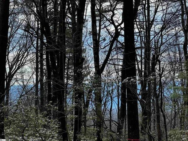 $61,900 | 312 Cliff Ridge Drive, Unit LOT 172, Cleveland, SC 29635