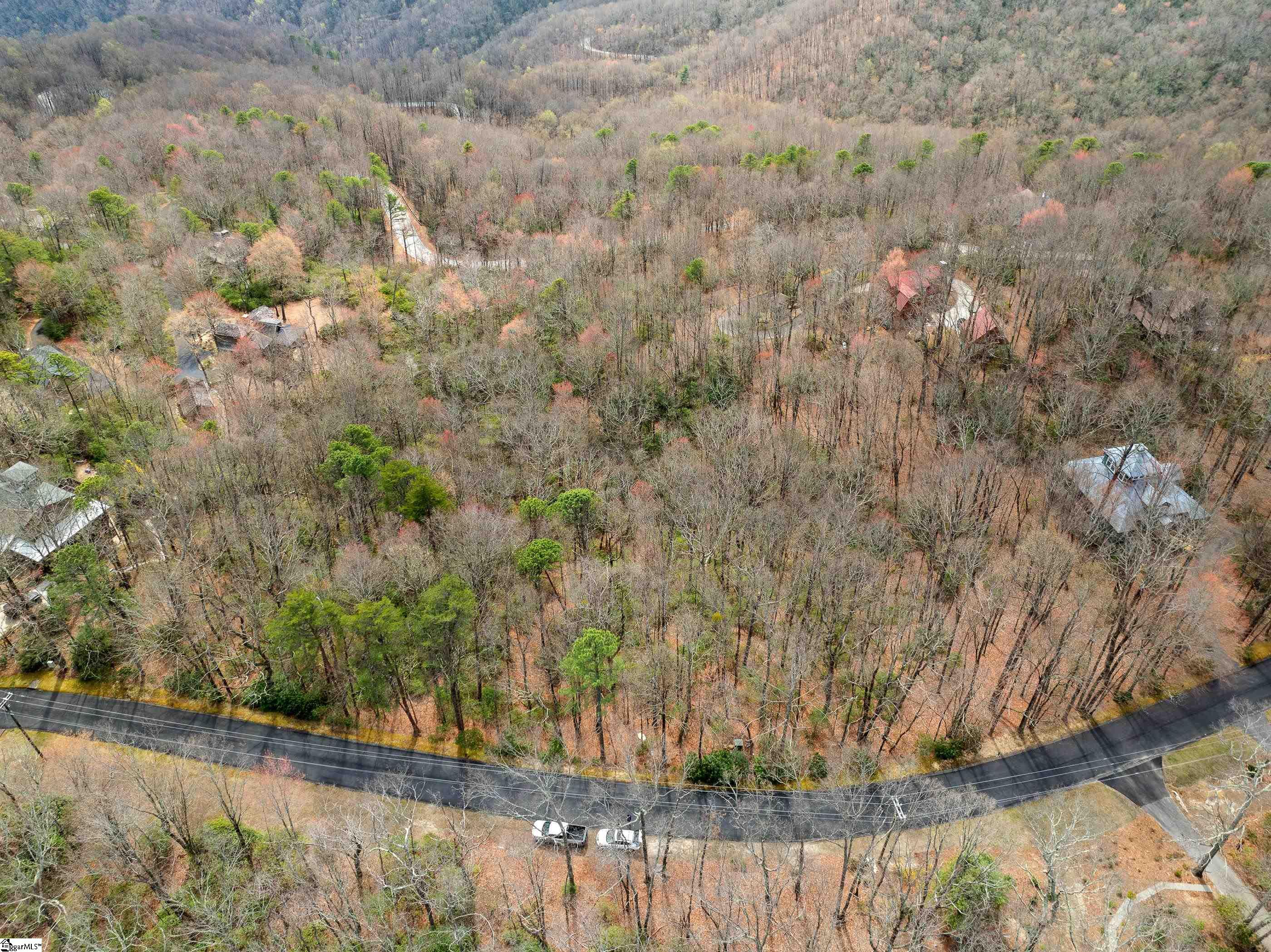 312 Cliff Ridge Drive, Unit LOT 172 Cleveland, SC 29635 - Photo 8 of 30