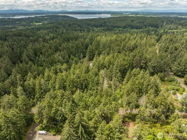 a view of outdoor space and garden