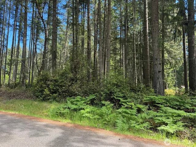 $18,000 | 10409 Tahoma Drive, Anderson Island, WA 98303