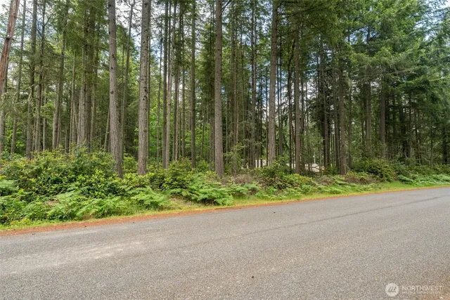 a backyard of a house with plants and large trees