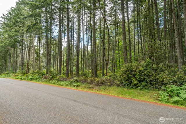a view of backyard with green space