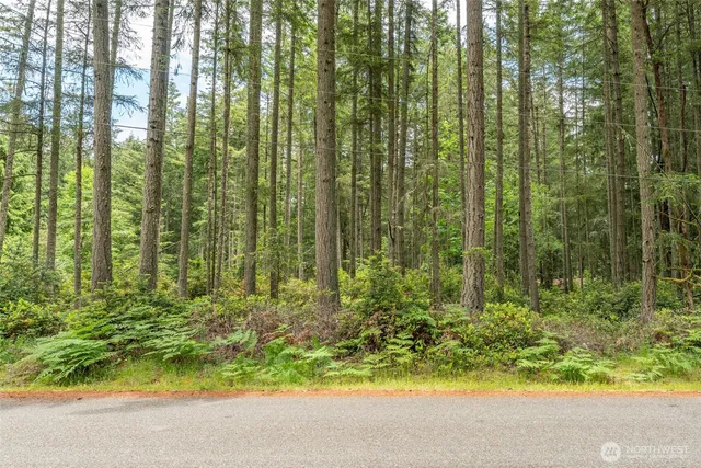 a view of a garden with plants