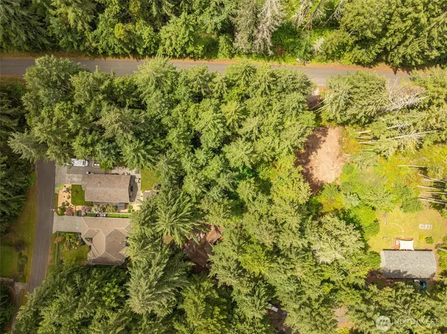 a view of a back yard