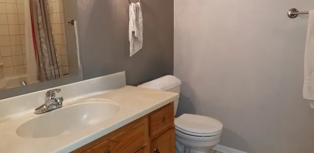 a bathroom with a sink and a toilet