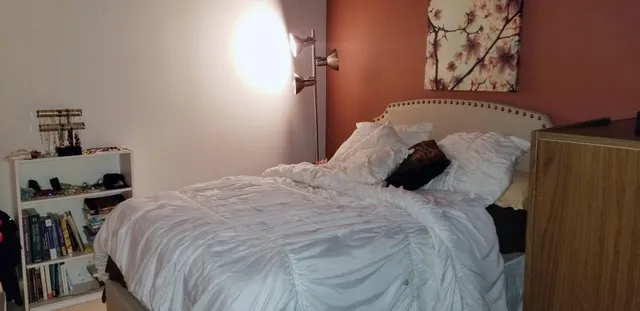 a bedroom with a bed and a window