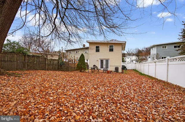 a view of a backyard with large trees