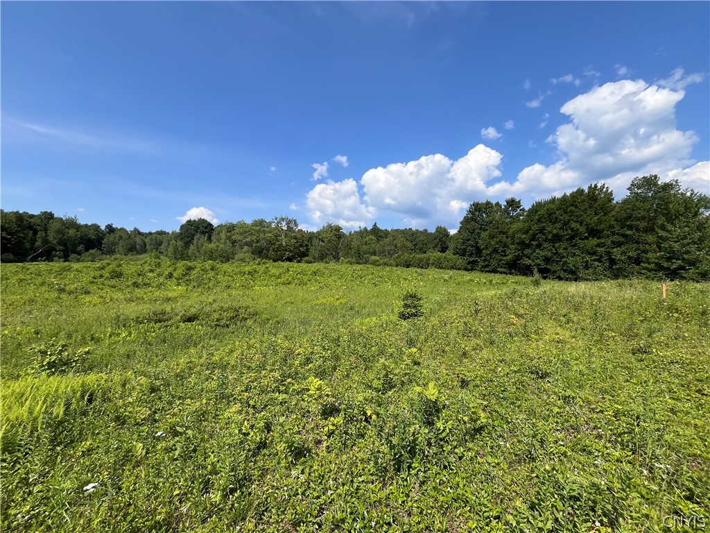 Center Road Lacona, NY 13083 - Photo 2 of 38