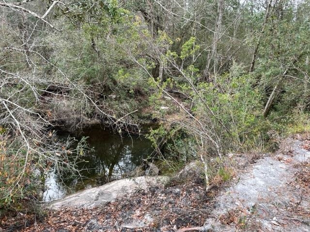 0 Williams Lane Elberta, AL 36530 - Photo 3 of 7