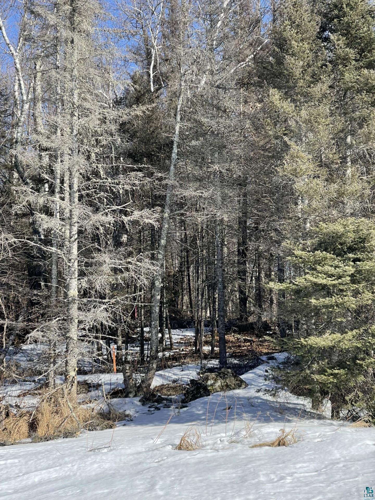 Two Christianson Lake Road Two Harbors, MN 55616 - Photo 12 of 15 Gallery Image 12