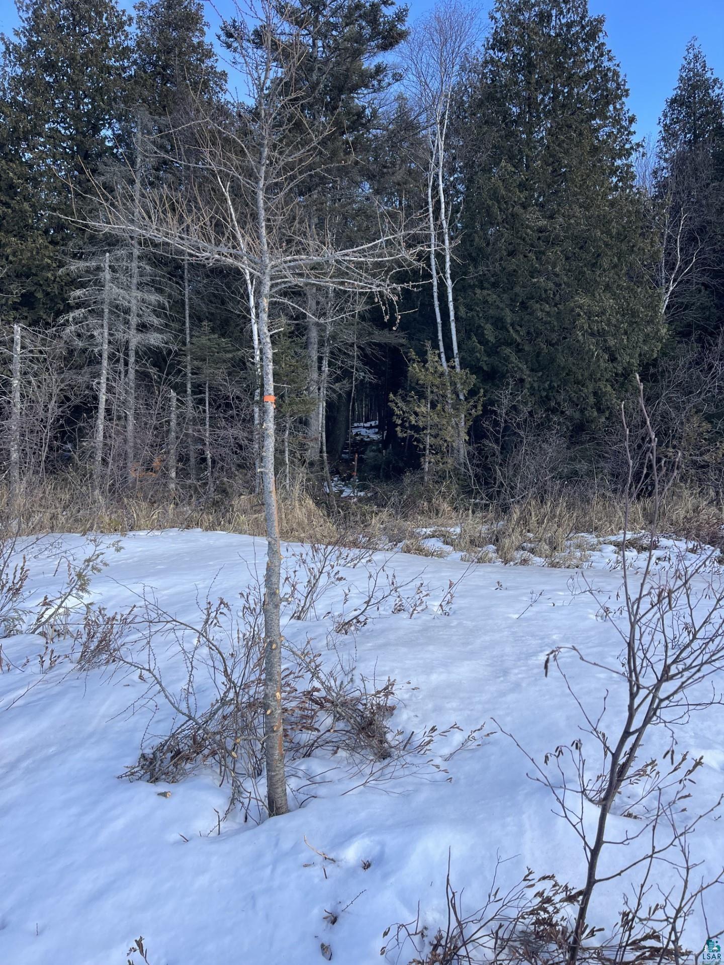Two Christianson Lake Road Two Harbors, MN 55616 - Photo 10 of 15 Gallery Image 10
