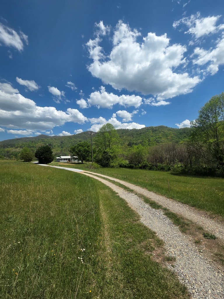 234 George Millsaps Road Robbinsville, NC 28771 - Photo 2 of 30