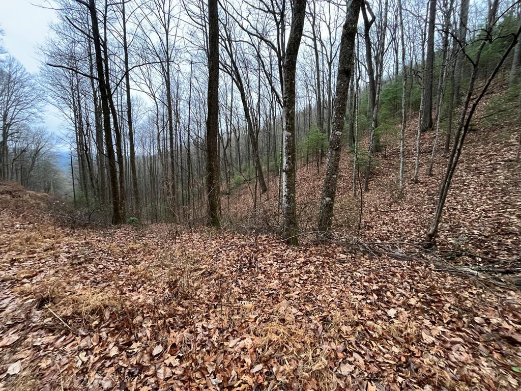 Tbd Burrell Mountain Road Murphy, NC 28906 - Photo 22 of 28