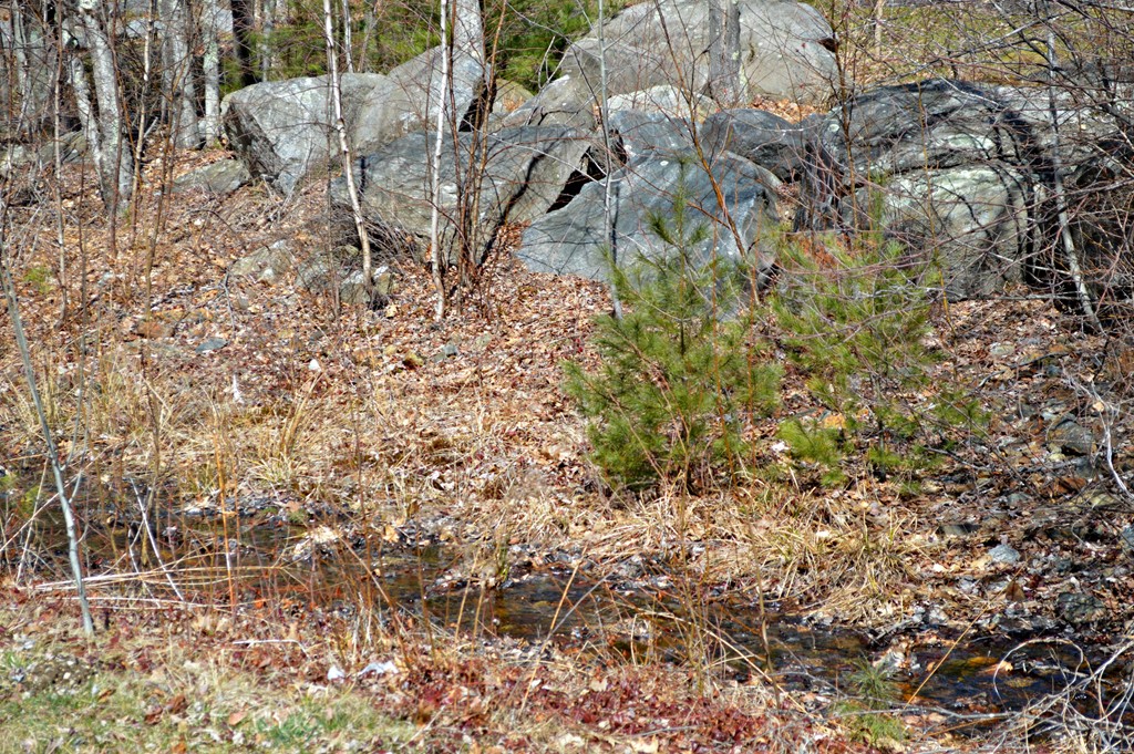 375 Petersham Road Phillipston, MA 01331 - Photo 25 of 30