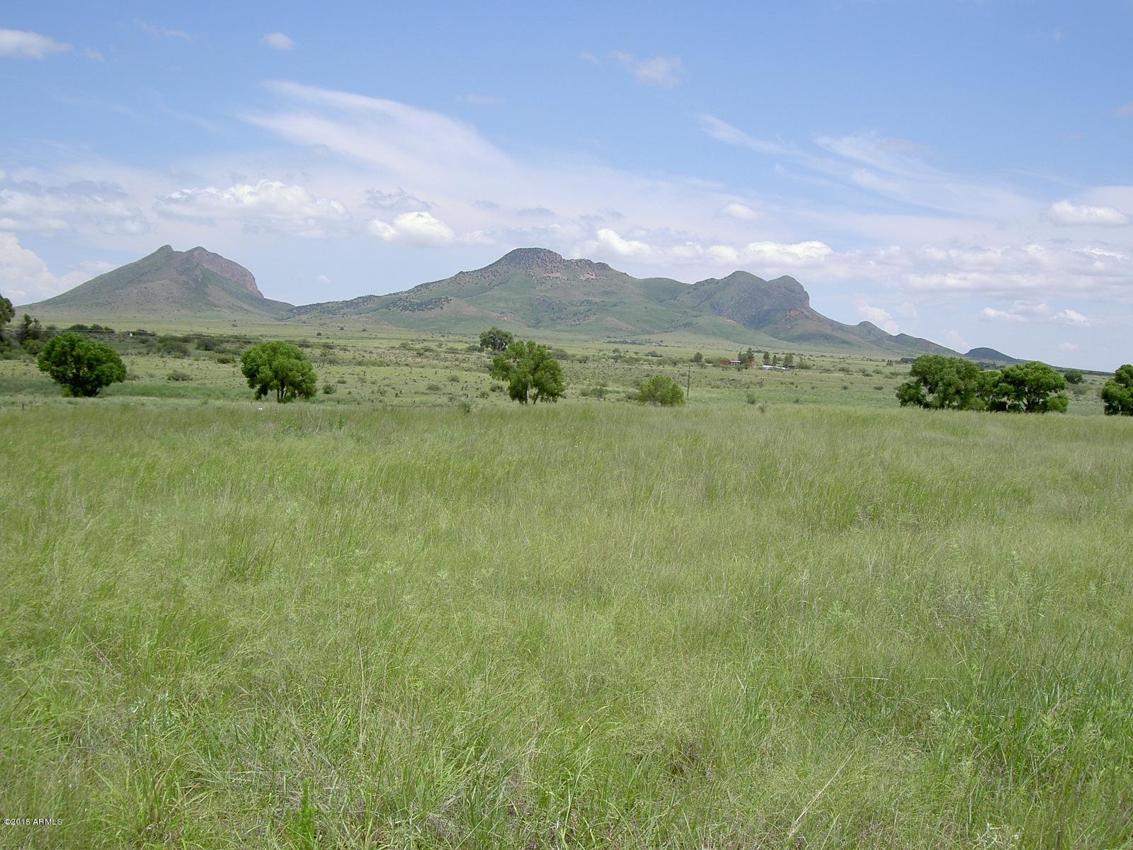 547 Lower Elgin Road Elgin, AZ 85611 - Photo 1 of 8 PICT3950