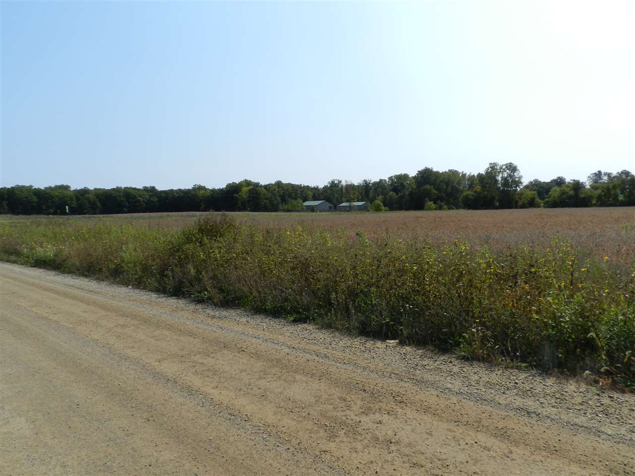 Fowlerville Road Fowlerville, MI 48836 - Photo 2 of 8