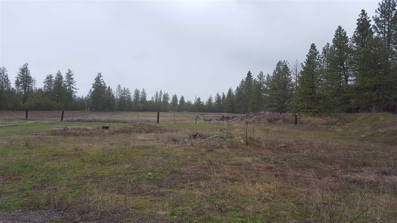 3962 Colville Road Loon Lake, WA 99148 - Photo 3 of 17