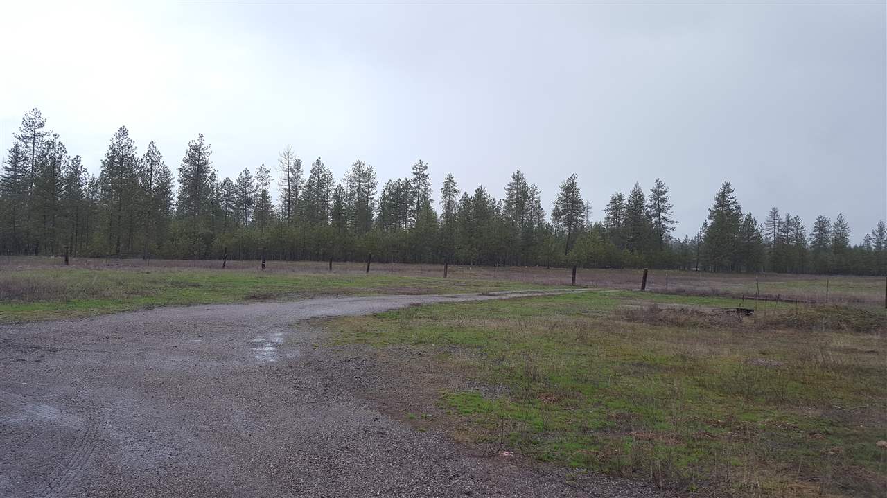 3962 Colville Road Loon Lake, WA 99148 - Photo 4 of 17