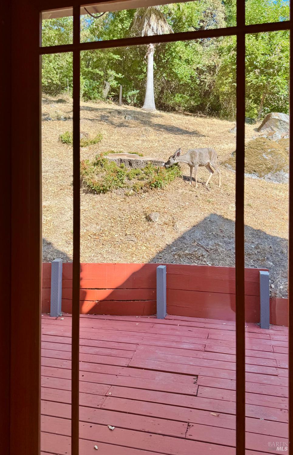 1776 Partrick Road Napa, CA 94558 - Photo 22 of 46